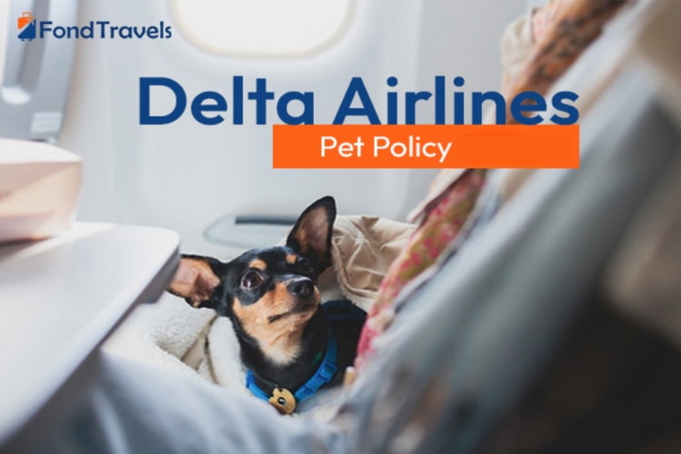 Delta Airlines Pet Travel Policy
