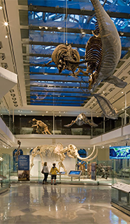 Natural-History-Museum-of-Los-Angeles-County image