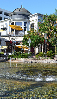 The-Grove image