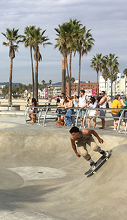 Venice-Beach-Skate-Park image