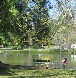 Cucamonga-Guasti-Regional-Park image