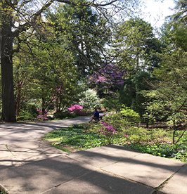 Highland-Park image