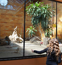Seneca-Park-Zoo image