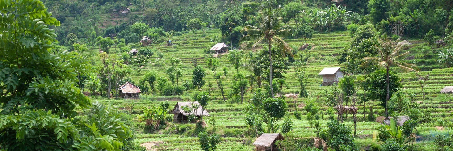 Asia Vacation Packages