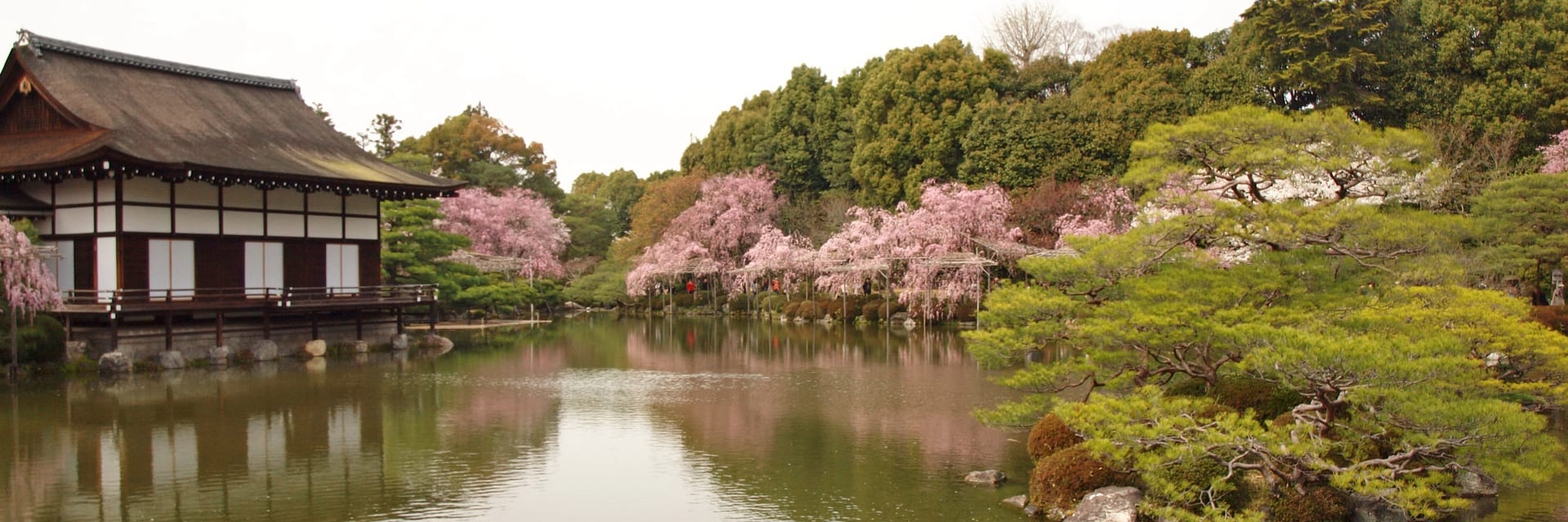 Japan Cherry Blossom Tour Packages 2027 from the USA – photo 1