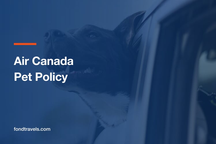 Air Canada Pet Policy: Cabin, Hold and the Temperature Rule
