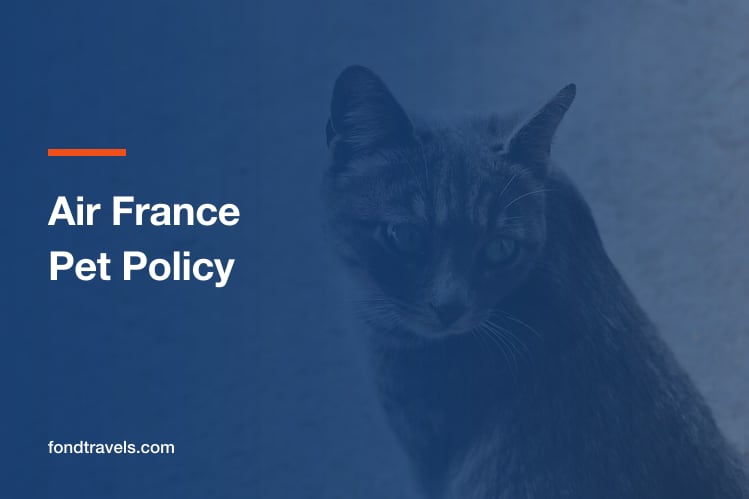 Air France Pet Policy: Cabin Limits, Hold Rules and Breed Bans