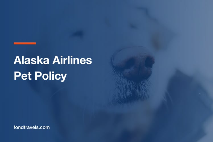 Alaska Airlines Pet Policy 2026: Cabin, Baggage and Cargo