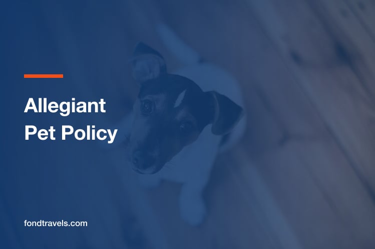 Allegiant Pet Policy 2026: Cabin Rules and Route Limits