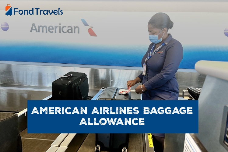 American airlines executive platinum baggage allowance outlet