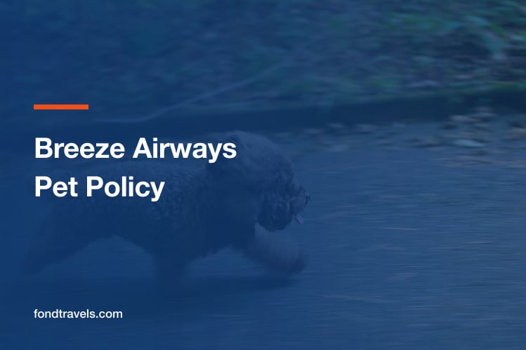 Breeze Airways Pet Policy 2026: Cabin Rules and Limits