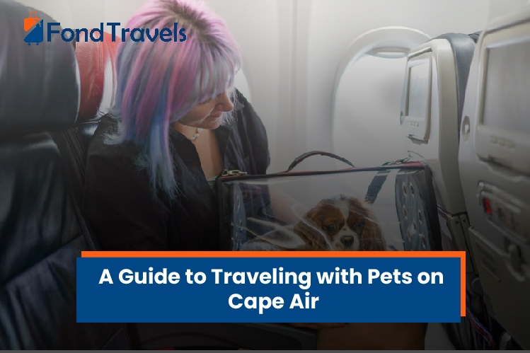 Cape Air Pet Policy