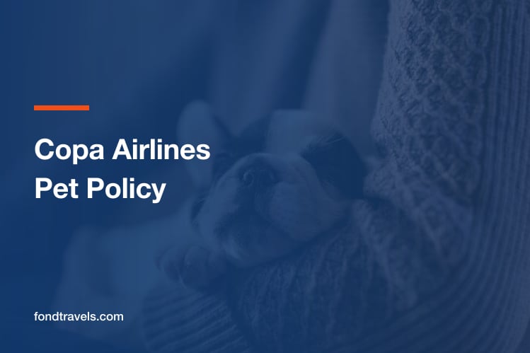 Copa Airlines Pet Policy 2026: Cabin Rules and Day Limits