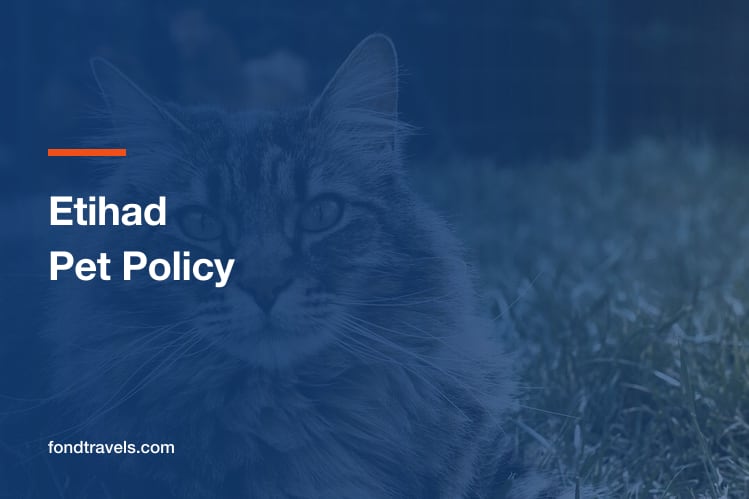 Etihad Pet Policy 2026: Cabin Rules, Cargo and Falcons