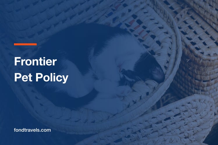 Frontier Pet Policy 2026: Cabin Rules and Which Animals Fly