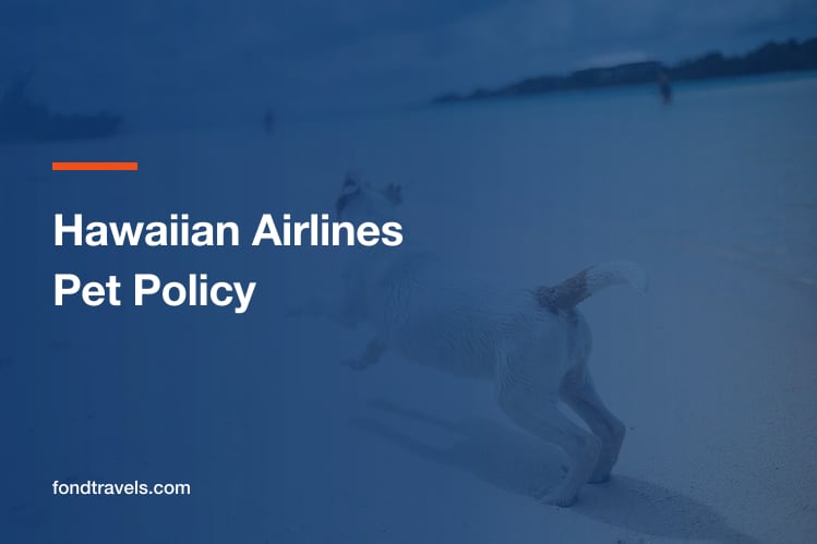 Hawaiian Airlines Pet Policy 2026: Quarantine and Rules