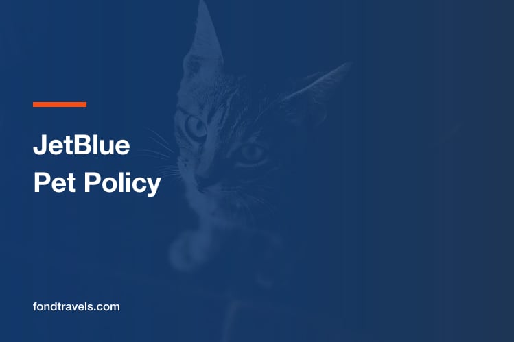 JetBlue Pet Policy 2026: Cabin Rules and Carrier Limits