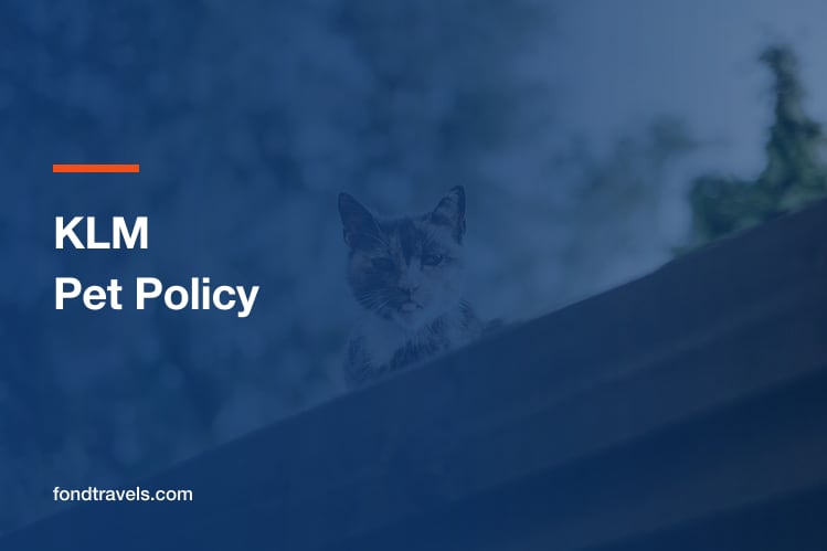 KLM Pet Policy: Cabin Limits, Hold Rules and Cabin Class