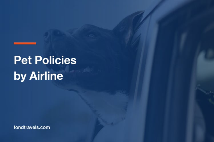 Pet Policies by Airline: Which Carriers Take Pets, and How