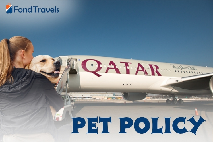 Qatar Airways Pet Policy