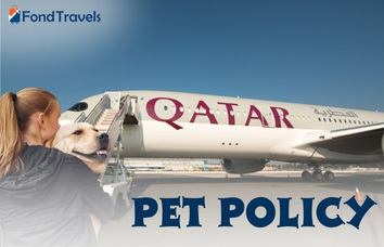 Horizon air pet policy sale