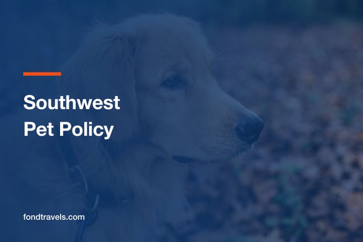 Southwest Pet Policy 2026: Cabin Rules and Carrier Limits