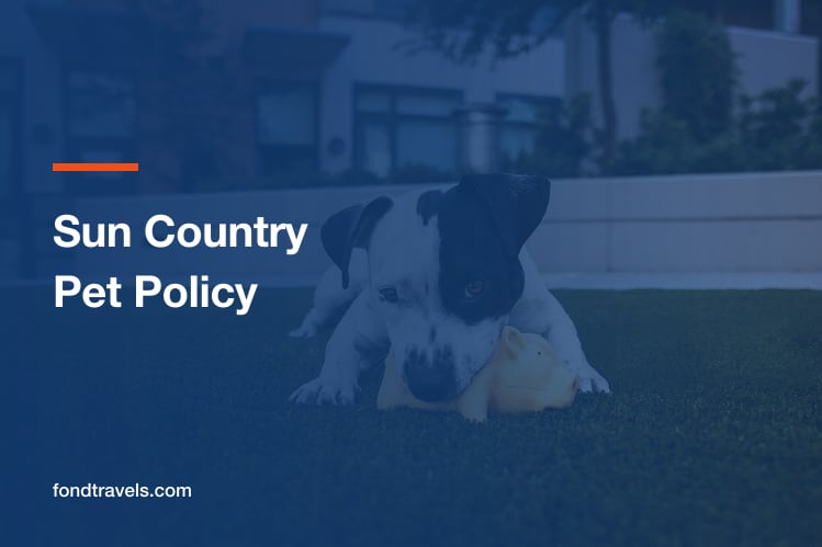 Sun Country Pet Policy: Cabin Only, Lower 48 Only, Phone Only