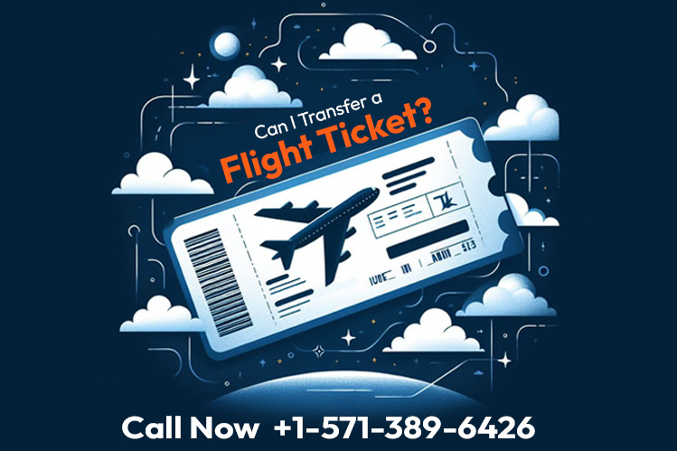 Can I Transfer a Flight Ticket?