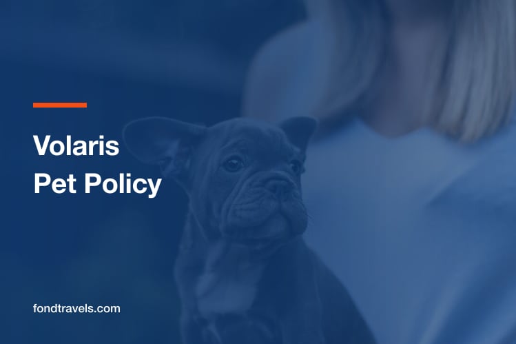 Volaris Pet Policy 2026: Cabin, Hold and Breed Rules