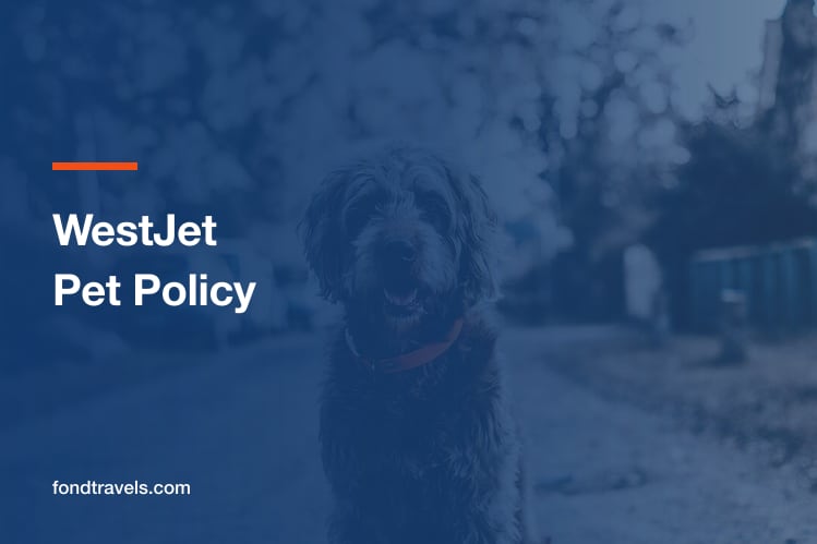 WestJet Pet Policy 2026: Cabin, Hold and Route Bans