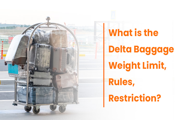 What is the Delta Baggage Weight Limit Rules Restriction